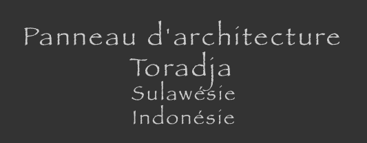 toraja indonésie