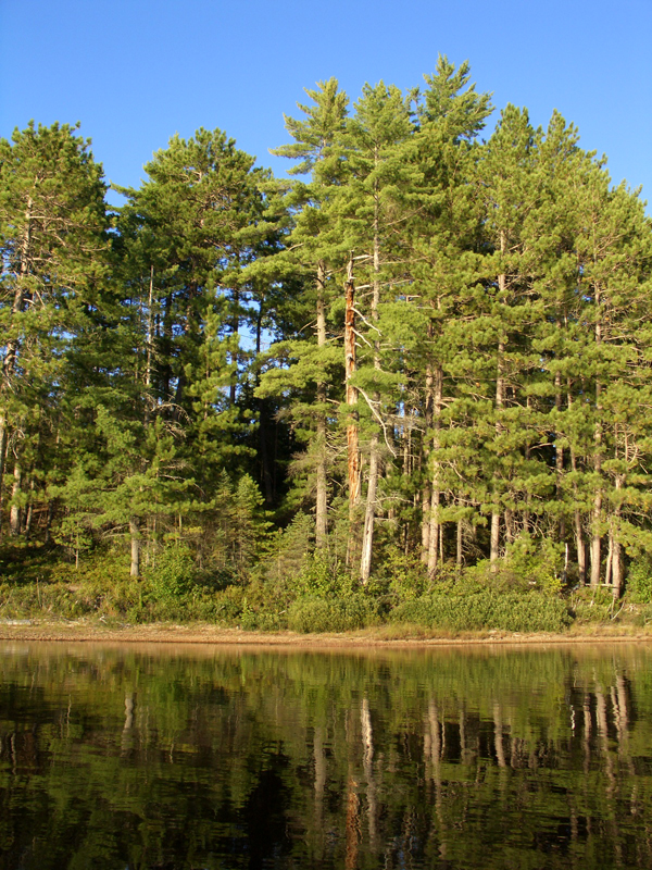 lac_lavieille26