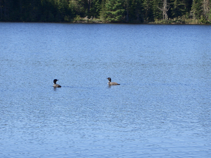 lac_lavieille5