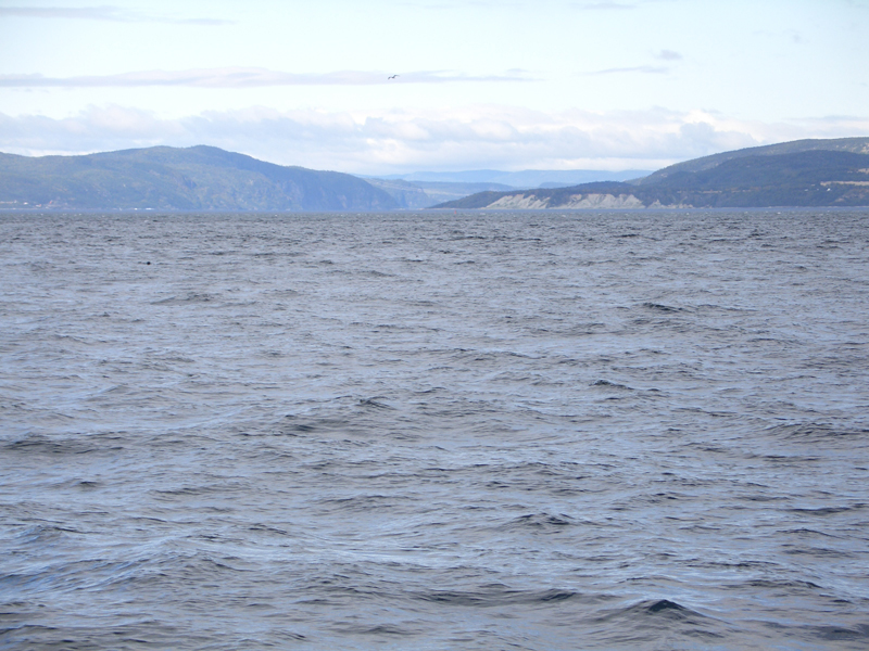 tadoussac1