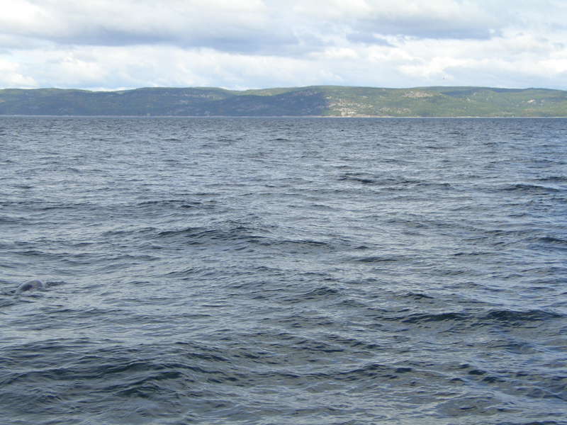 tadoussac2