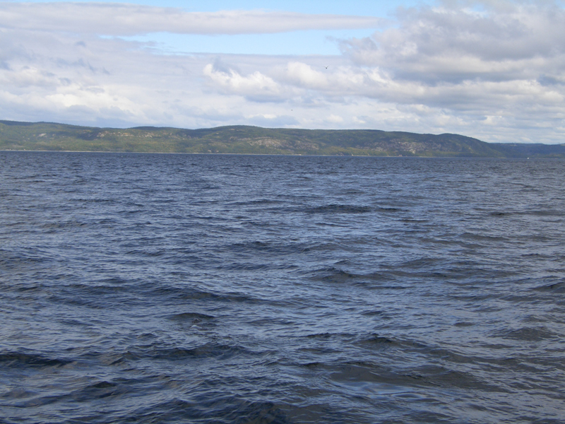tadoussac3