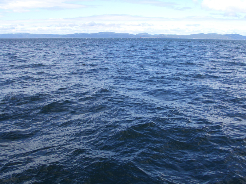 tadoussac4