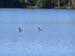 lac_lavieille5
