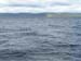 tadoussac2