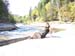 val-jalbert camping 10